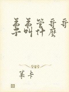 弟弟管哥哥的孩子叫什么