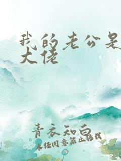 我的老公是黑道大佬