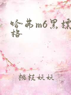 哈弗m6黑标价格