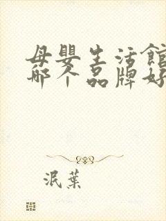 母婴生活馆加盟哪个品牌好