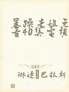 暴躁老姐免费观看40集电视剧