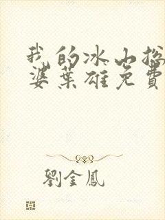 我的冰山总裁老婆叶雄免费阅读