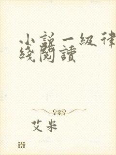 小说一级律师在线阅读