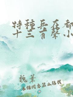 特种兵在都市夜十三有声小说