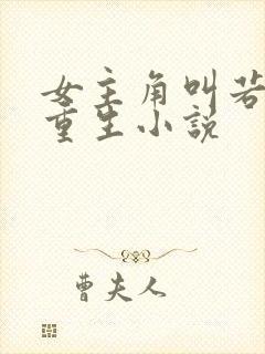 女主角叫若曦的重生小说