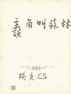 主角叫苏林的小说