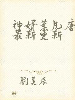 神婿叶凡唐若雪最新更新