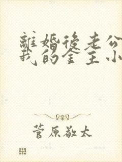 离婚后老公成了我的金主小说