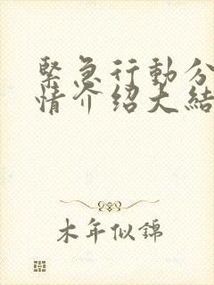 紧急行动分集剧情介绍大结局