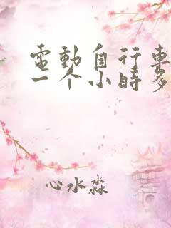 电动自行车充电一个小时多少度电