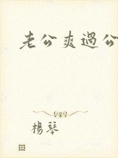 老公爽过公公爽