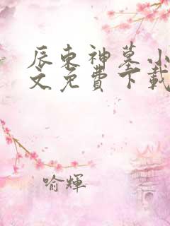 辰东神墓小说全文免费下载