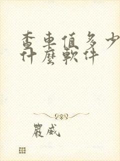查车值多少钱用什么软件