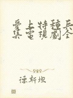 爱上特种兵40集电视剧全集免费