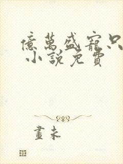 亿万盛宠只为你 小说免费