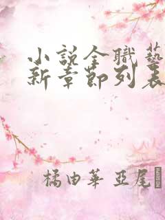 小说全职艺术家新章节列表