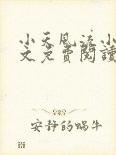 小天风流小说全文免费阅读无弹窗