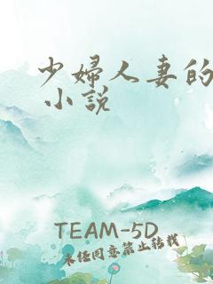 少妇人妻的欲望 小说