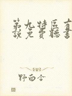 第九特区有声小说免费听书