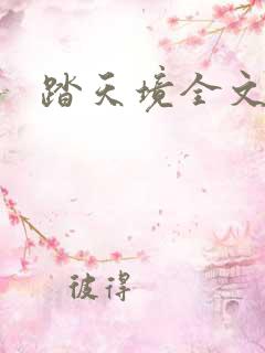 踏天境全文免费