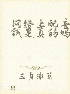网络上配音能赚钱是真的吗
