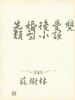 先婚后爱双男主类型小说