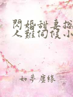 闪婚甜妻总裁大人难伺候小说
