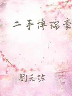 二手博瑞豪华版