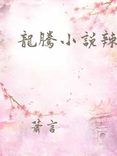 龙腾小说辣文