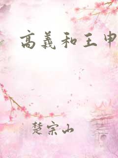 高义和王申小说