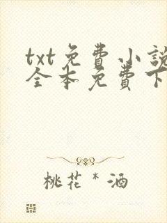 txt免费小说全本免费下载网站