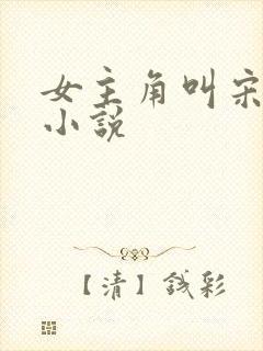 女主角叫宋晚的小说