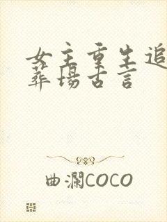 女主重生追妻火葬场古言