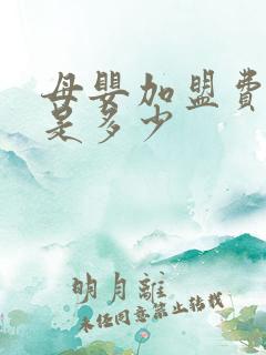 母婴加盟费一般是多少