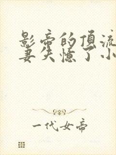 影帝的顶流小娇妻失忆了小说