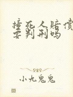 撞死人赔偿后还要判刑吗