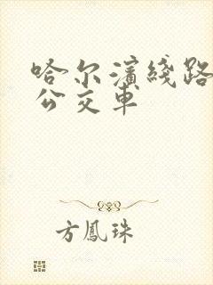 哈尔滨线路查询公交车