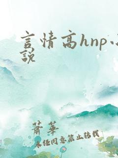 言情高hnp小说