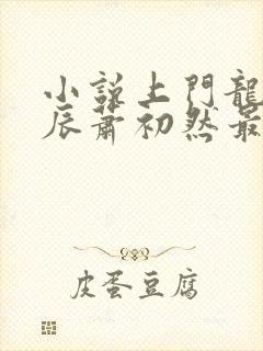 小说上门龙婿叶辰萧初然最新更新