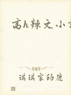 高h辣文小说网
