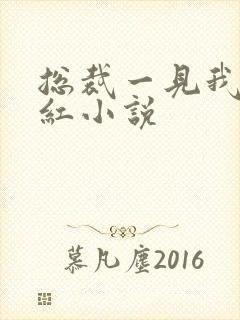 总裁一见我就脸红小说
