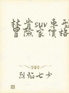 林肯suv车型冒险家价格及图片