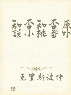 知否知否原著小说小桃番外