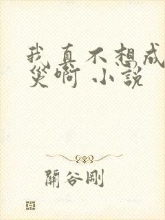 我真不想成为天灾啊 小说