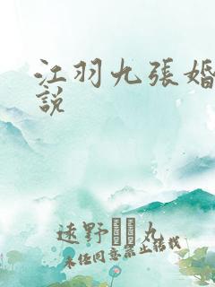 江羽九张婚书小说