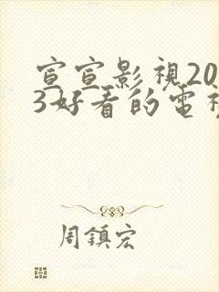 宣宣影视2023好看的电视剧