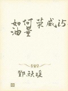 如何荣威i5耗油量