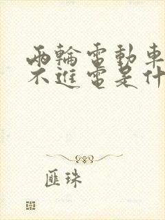 两轮电动车充电不进电是什么原因