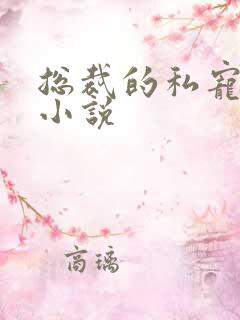 总裁的私宠甜妻小说