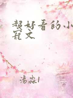 超好看的小说甜宠文